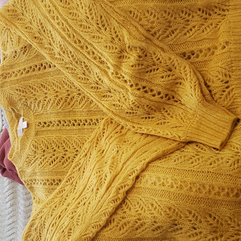 Fall sweater